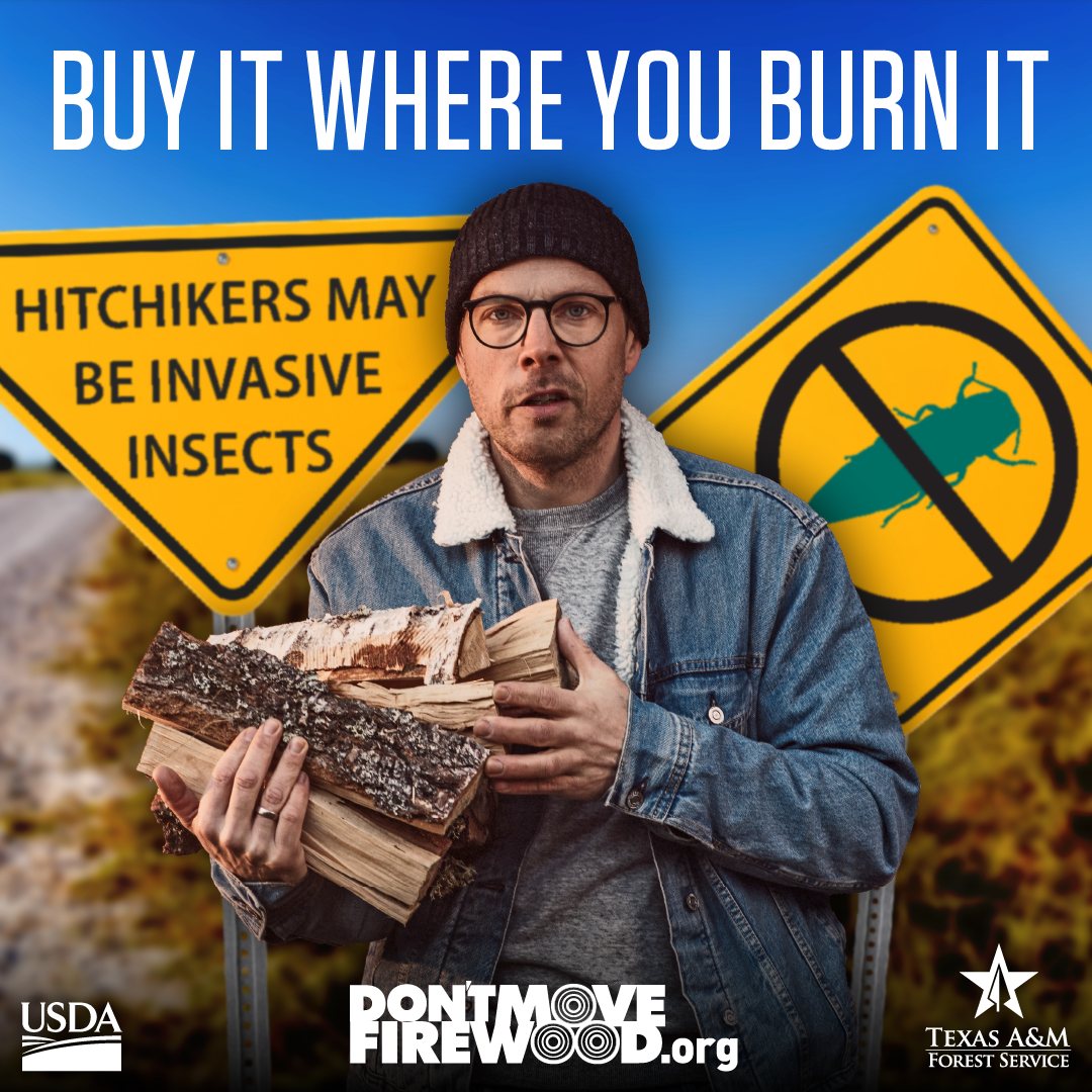 <p>     Don’t
move firewood, prevent the spread of invasive pests and diseases   
  COLLEGE STATION, Texas –
Texas A&amp;M Forest Service   urges all
Texans, and especially outdoor enthusiasts, to help reduce the spread of oak
wilt and invasive insects by taking preventive measures and being cautious when
collecting</p>